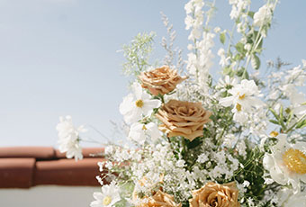 rooftop flowers